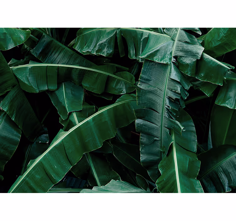 Nature wall mural vibrant green foliage design - TenStickers