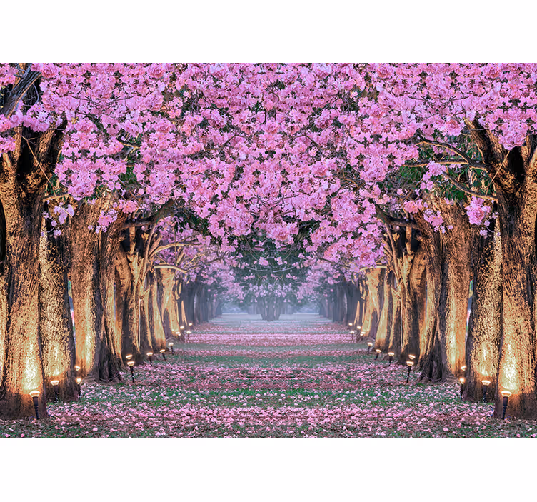 Flower mural cherry blossom path - TenStickers