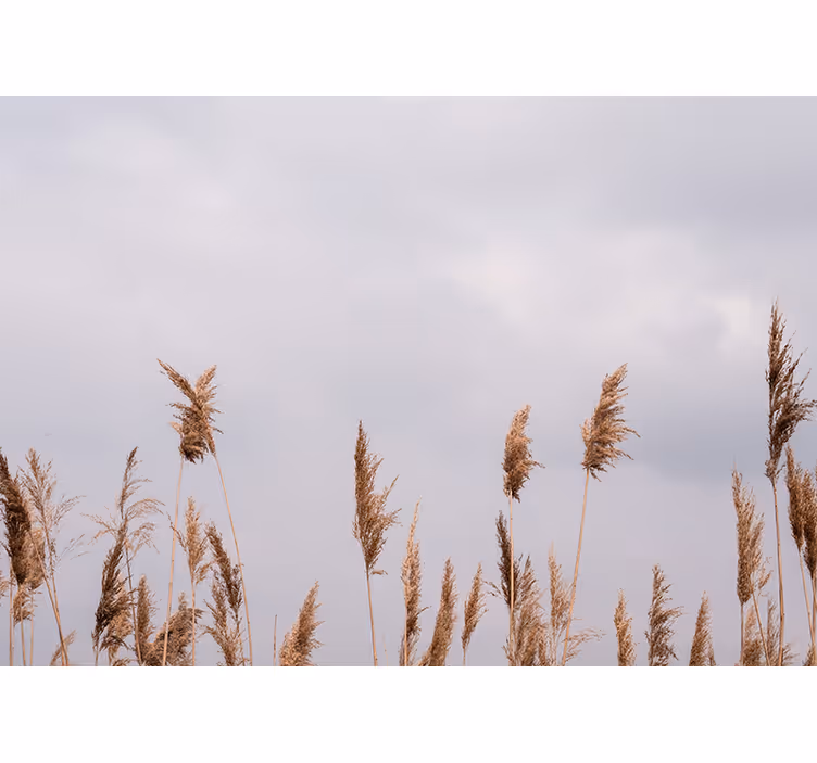 Tree mural with tall grass silhouettes - TenStickers