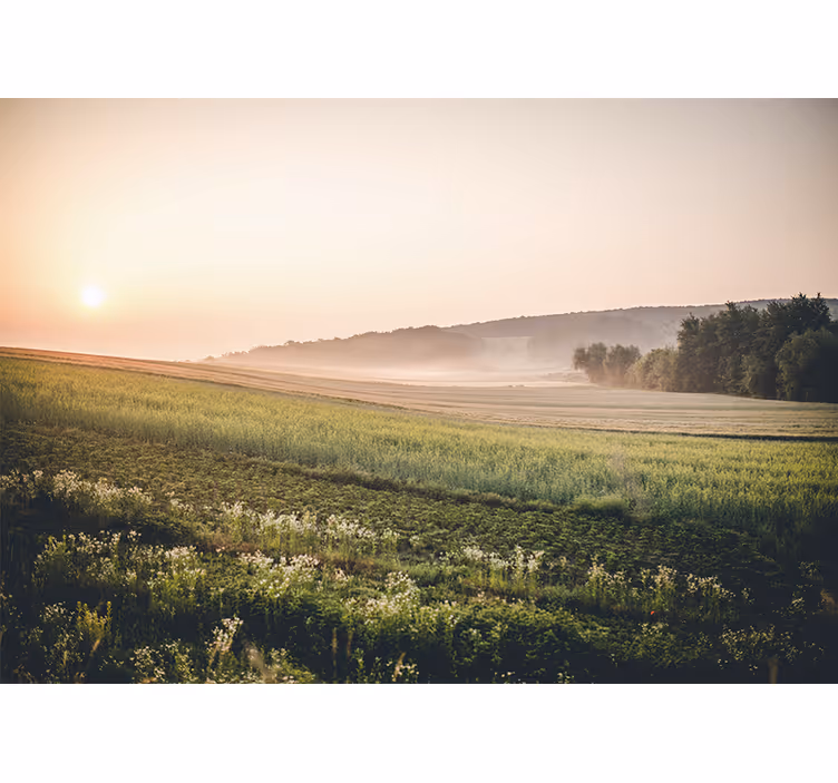 Landscape mural wallpaper tranquil green meadows - TenStickers