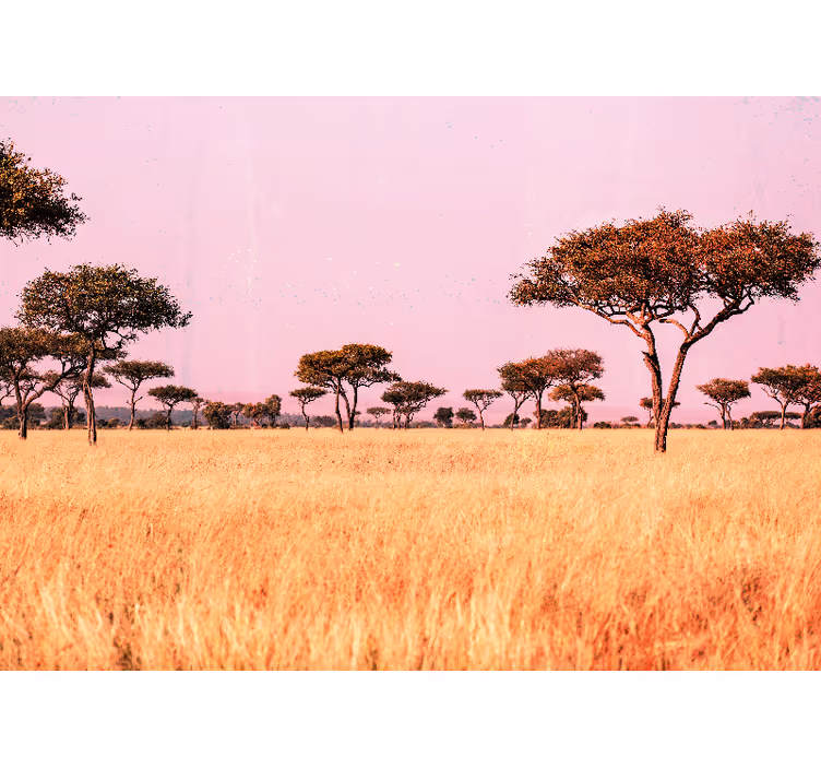 Landscape mural wallpaper serene savanna scene - TenStickers