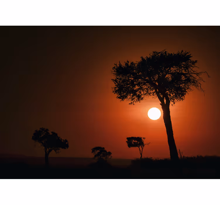 Silhouette Sunset Scene landscape mural wallpaper - TenStickers