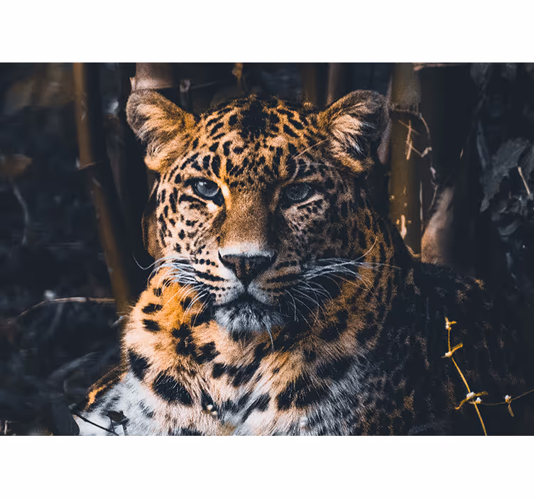 Animal wall mural majestic leopard portrait - TenStickers