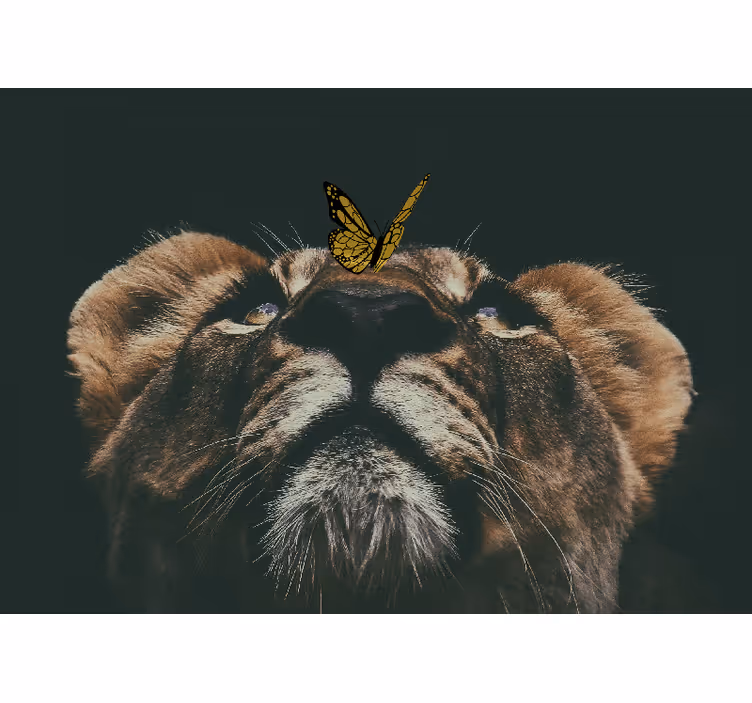 Cub with butterfly lion mural - TenStickers