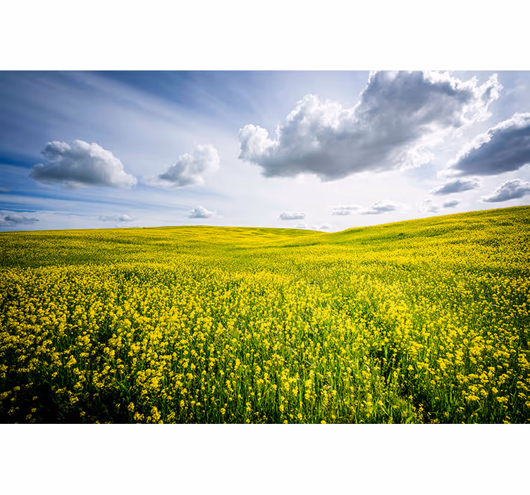 Nature wall mural expansive green meadow - TenStickers