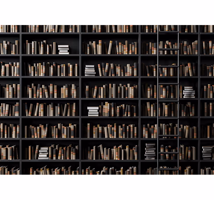 Bookshelves optical illusion 3D Wall Mural - TenStickers