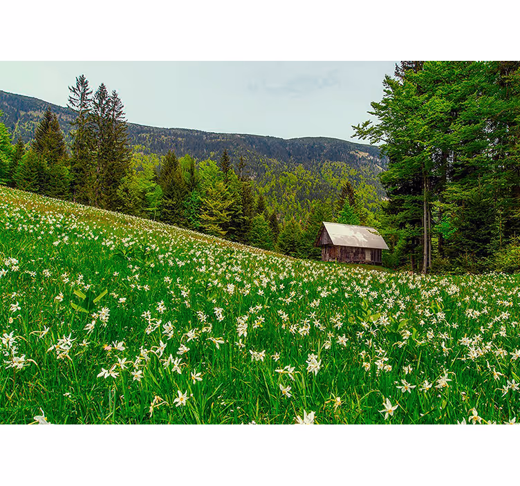 Landscape "cottagecore" style nature wall mural - TenStickers