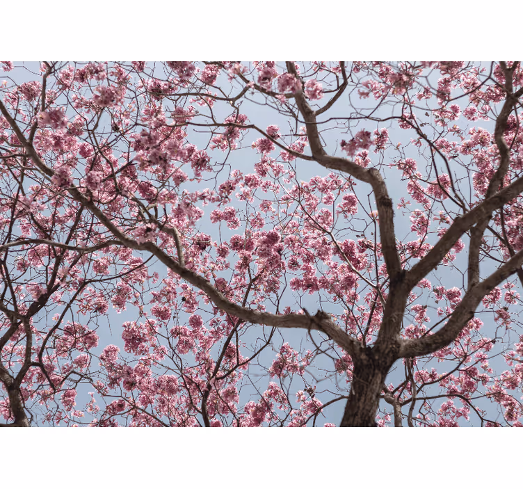 Flower mural cherry blossom stem design - TenStickers