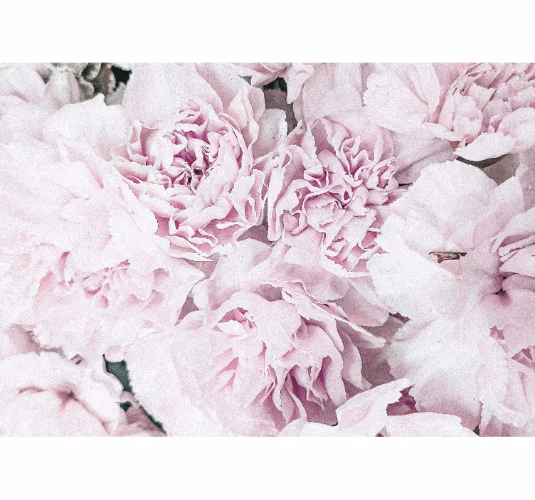 Flower mural soft pink blossoms - TenStickers