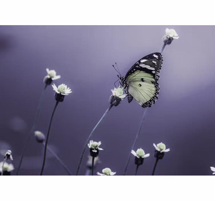 Elegant butterfly flower design  wall mural - TenStickers