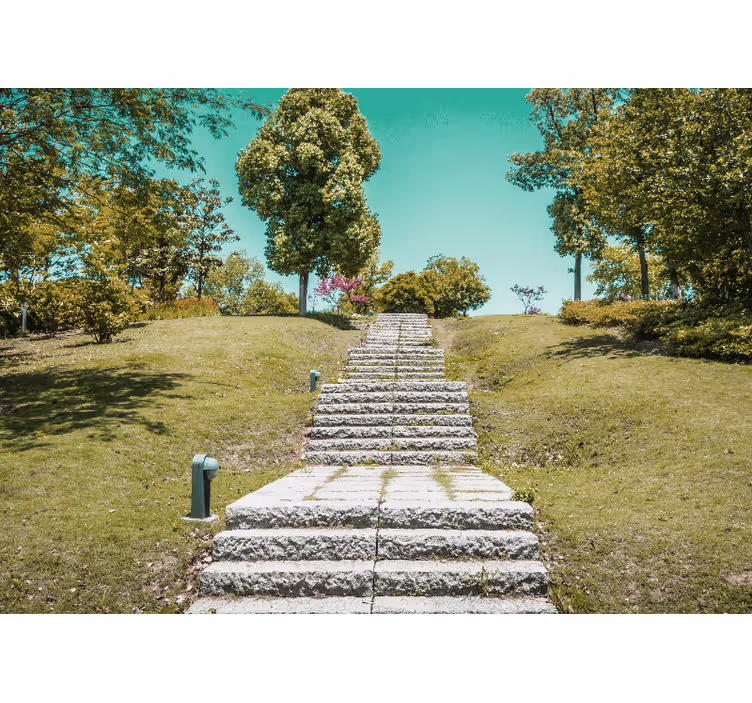 Nature wall mural staircase into nature - TenStickers
