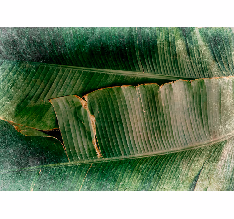 Nature wall mural vibrant foliage layers - TenStickers