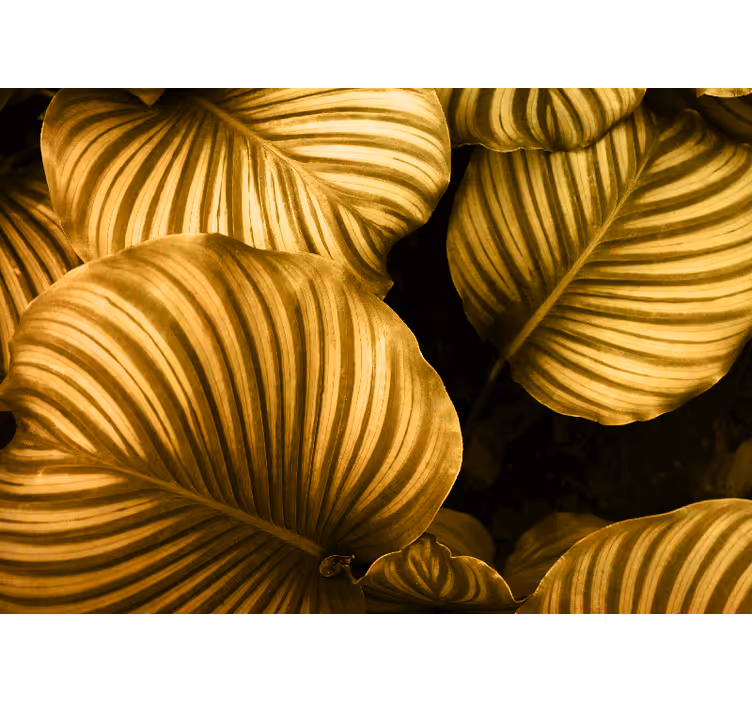 Wall mural golden leaves design - TenStickers