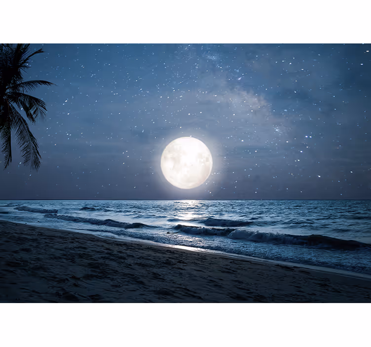 Beautiful ocean full moon Sky Wall Mural - TenStickers
