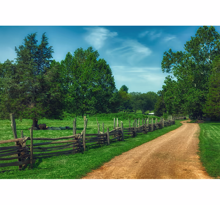Landscape mural wallpaper vibrant green pathway - TenStickers