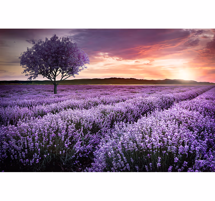 Flower mural lavender meadow twilight - TenStickers