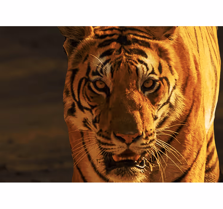 Lion mural noble lion stare - TenStickers