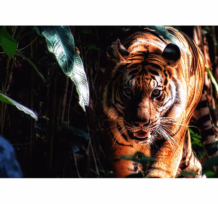 Walking tiger in the jungle wall mural - TenStickers