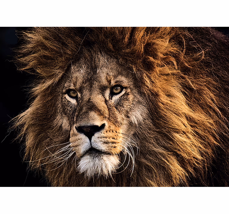 Lion mural majestic lion artwork - TenStickers