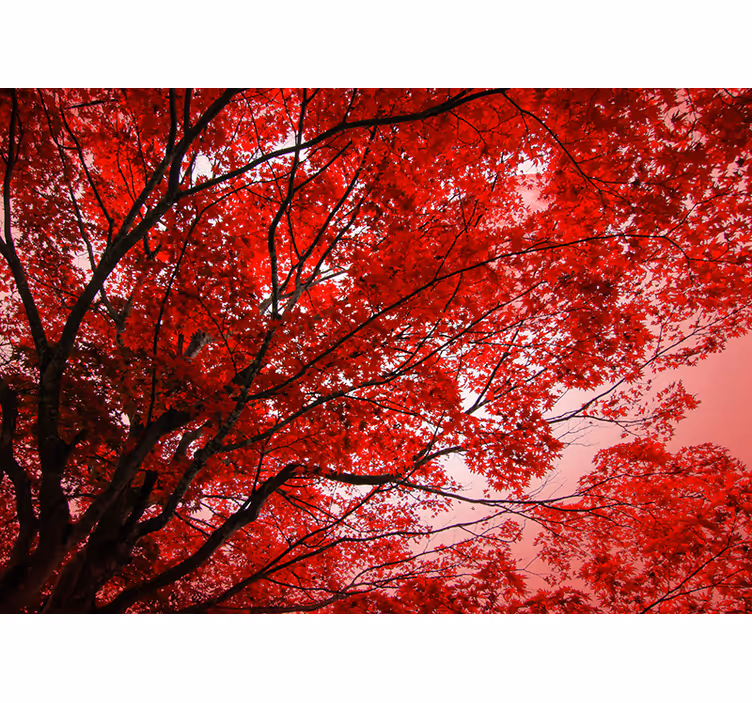 red branches tree mural - TenStickers