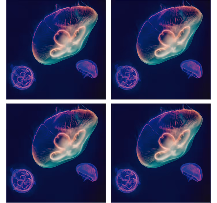 Geek coasters colorful jellyfish creatures - TenStickers