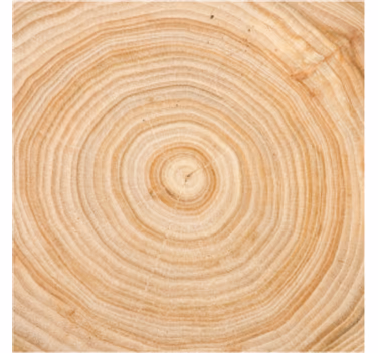 Wood grain circle coaster - TenStickers