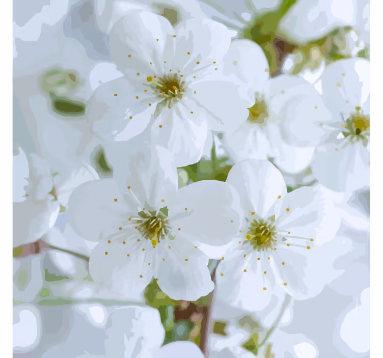 Delicate cherry blossoms coaster - TenStickers