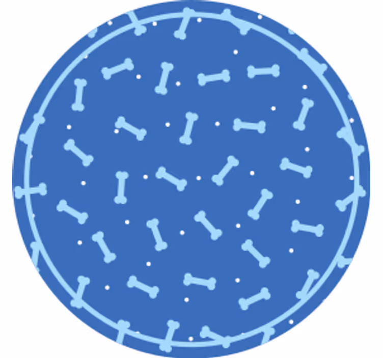 Bone pattern circle coaster - TenStickers