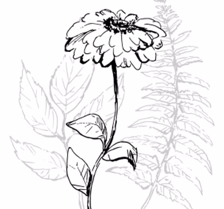Botanical line art coaster - TenStickers