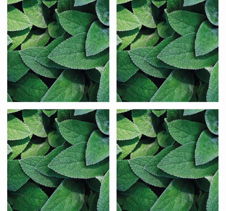 Vibrant green leaf motif coaster - TenStickers