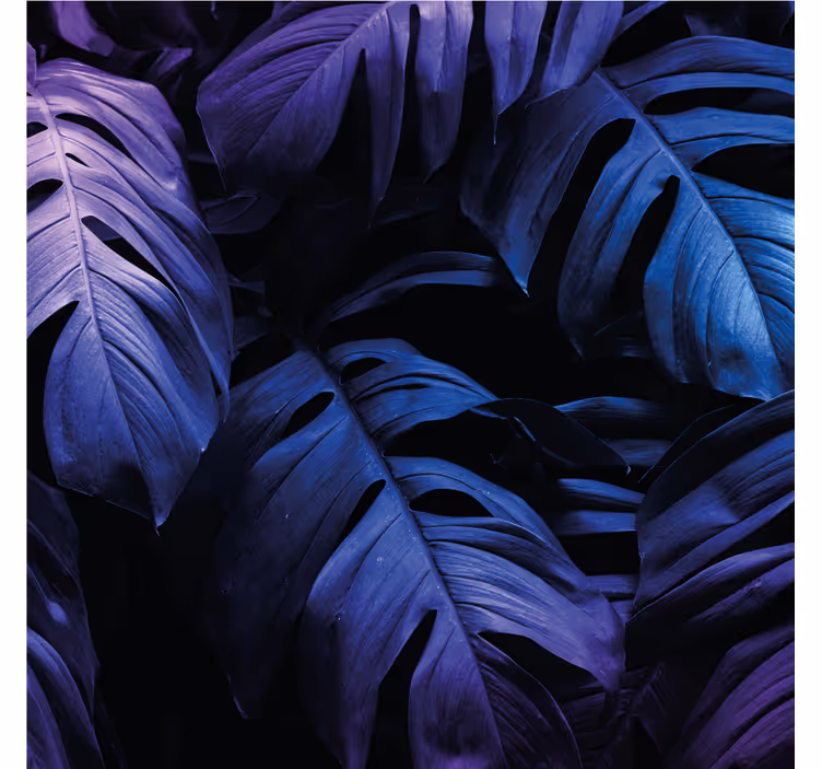 Verdant foliage motifs coaster - TenStickers
