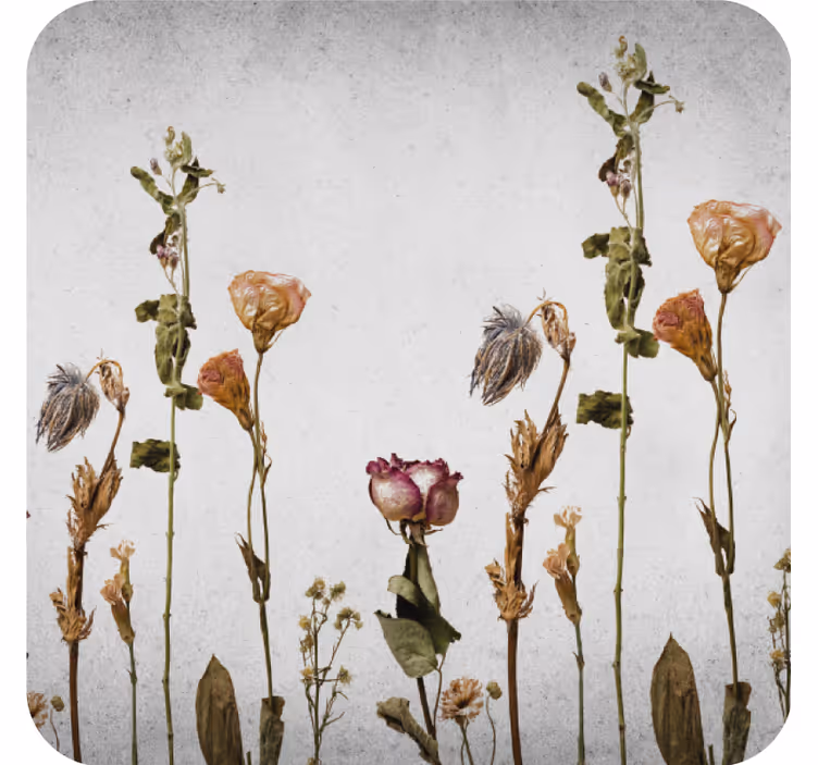 Scandinavian style dry plants modern coaster - TenStickers