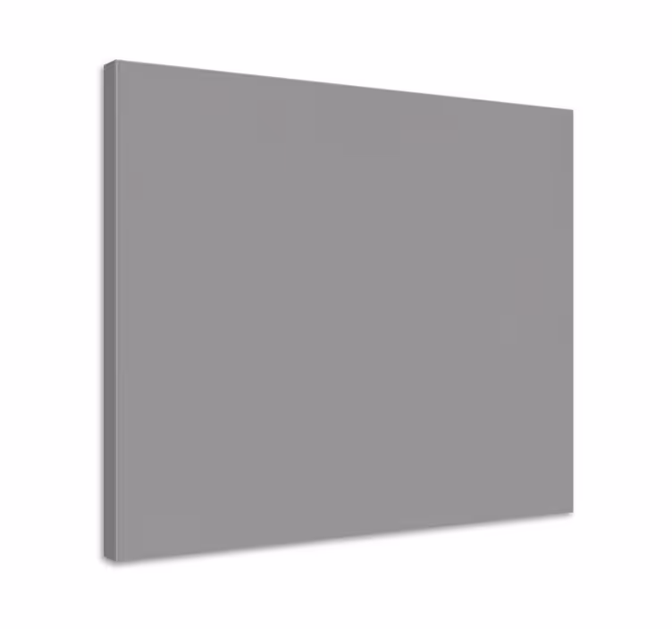 Modern canvas art in a simple grey design - TenStickers