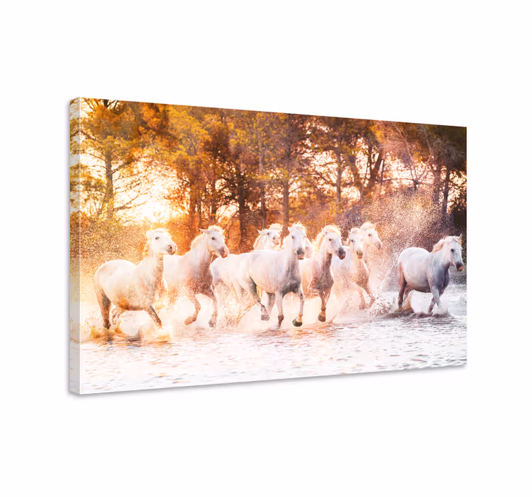 Horse wall art wild horses in a warm sunset - TenStickers