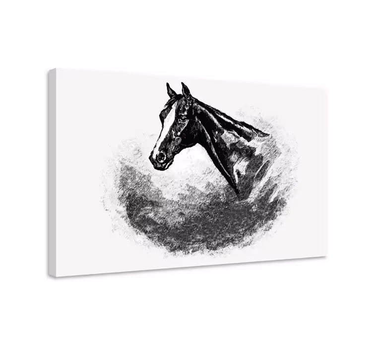 Horse wall art graphite horses - TenStickers