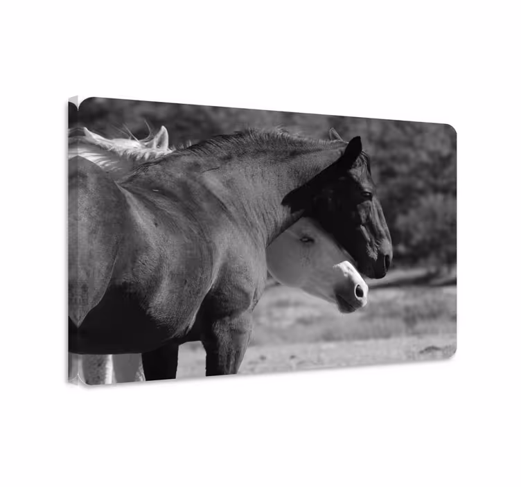 Horse wall art black and white horses embracing - TenStickers