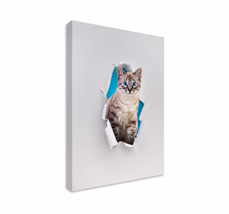 Cat wall art for your feline-inspired decor - TenStickers