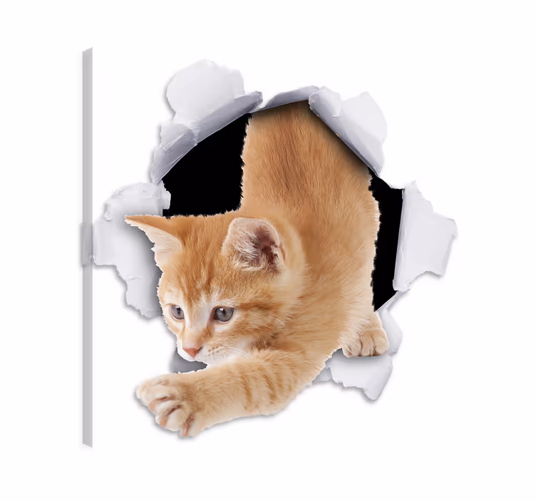 Cat wall art 3d illusion cat wall decal - TenStickers