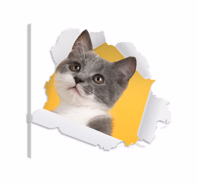Cat wall art 3d cat decal - TenStickers