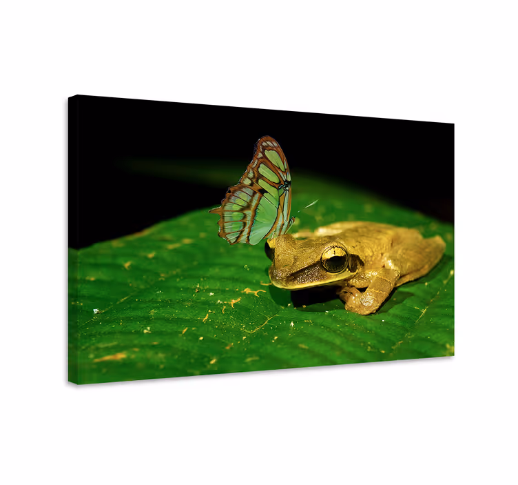 Butterfly canvas tranquil encounter - TenStickers