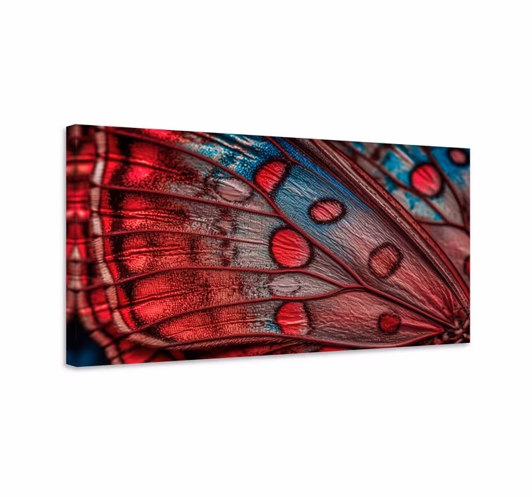 Butterfly canvas butterfly wing print - TenStickers