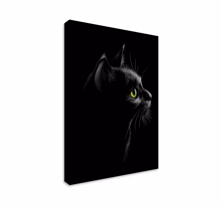 Amazing Black cat canvas print - TenStickers