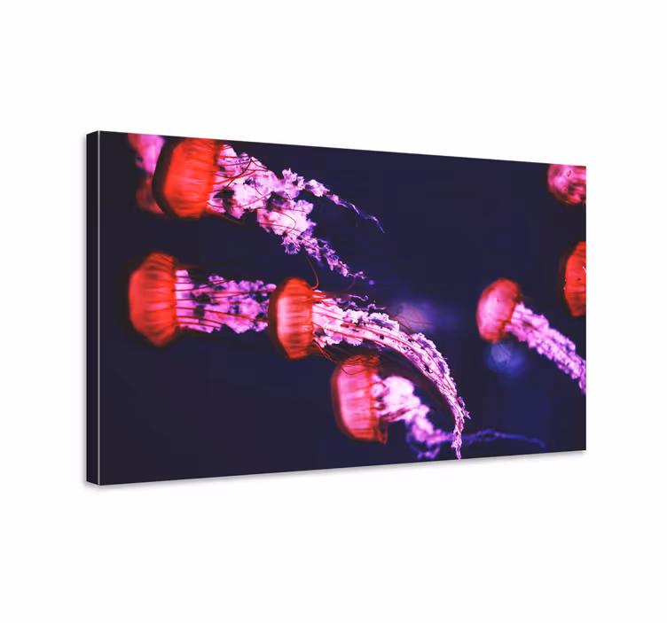 Jellyfish design animal canvas prints - TenStickers