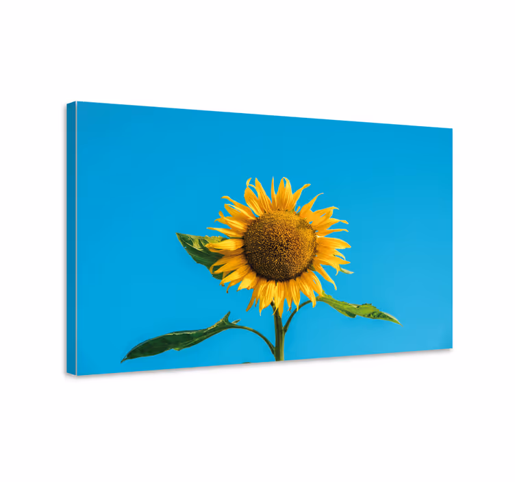 Flowers canvas radiant sunflower bloom - TenStickers