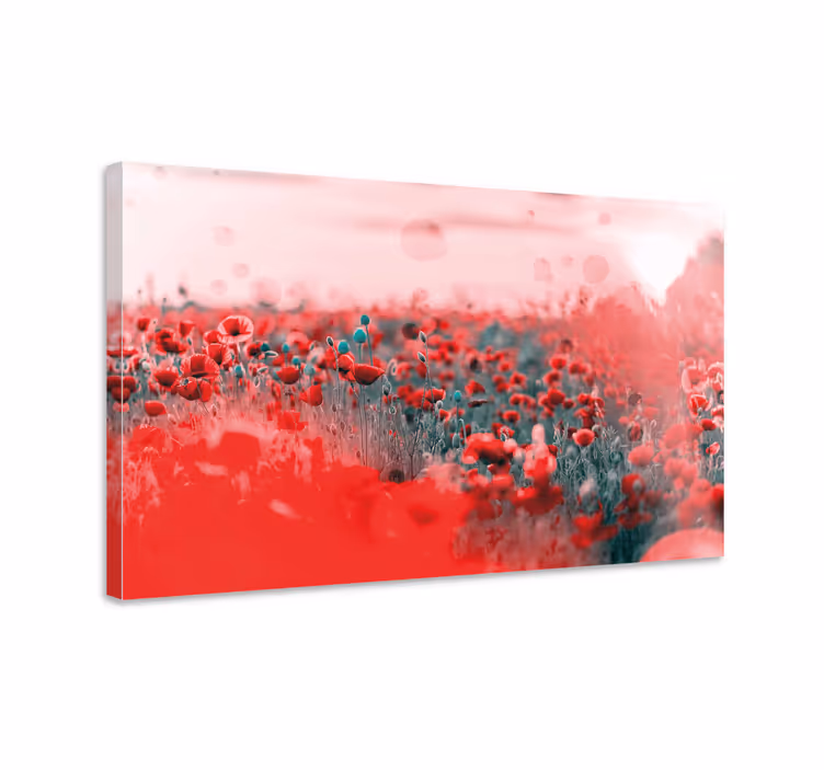 Long poppy field flower canvas - TenStickers