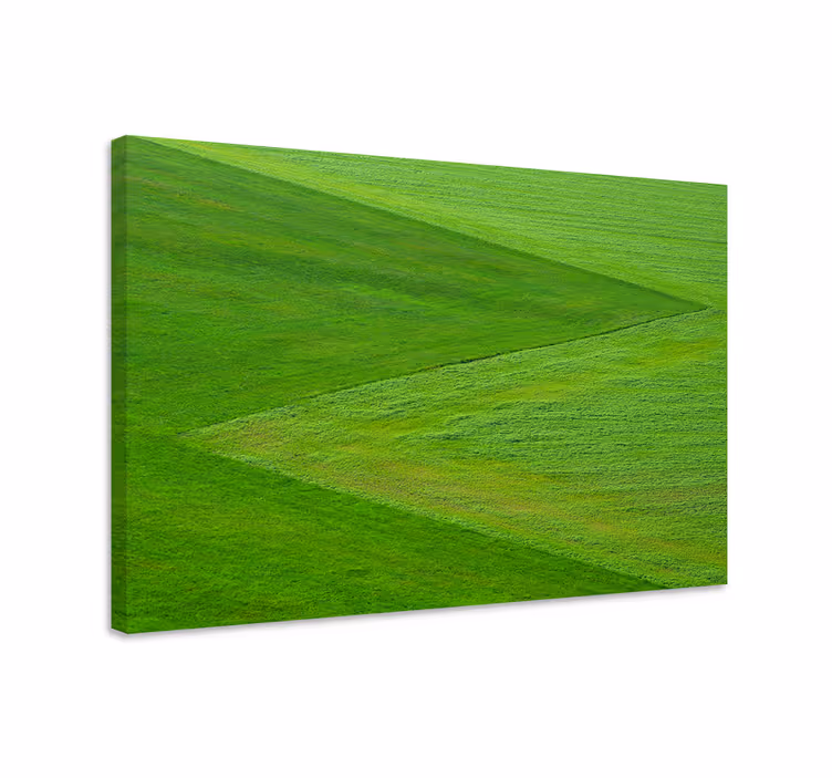 Green grass textured landscape canvas - TenStickers