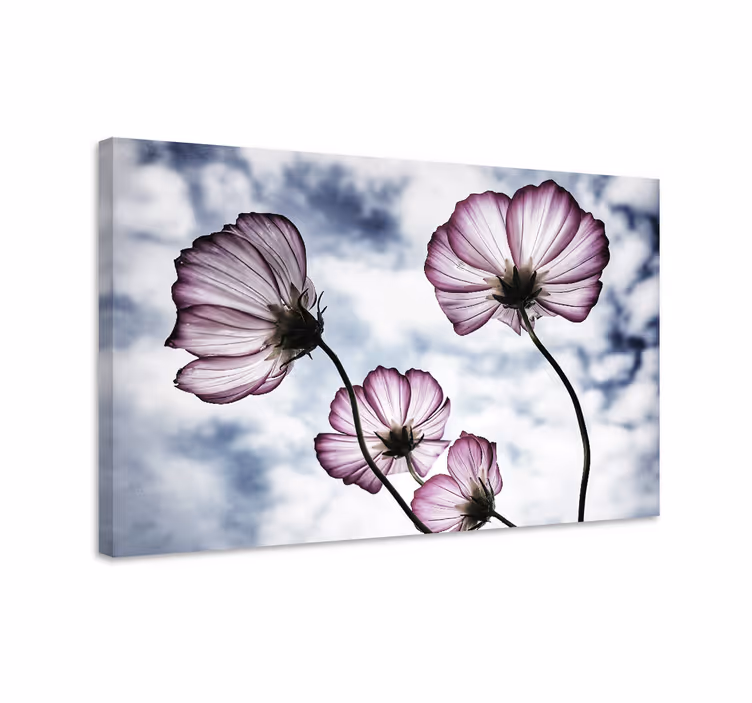 Elegant purple cosmos flower flower canvas - TenStickers