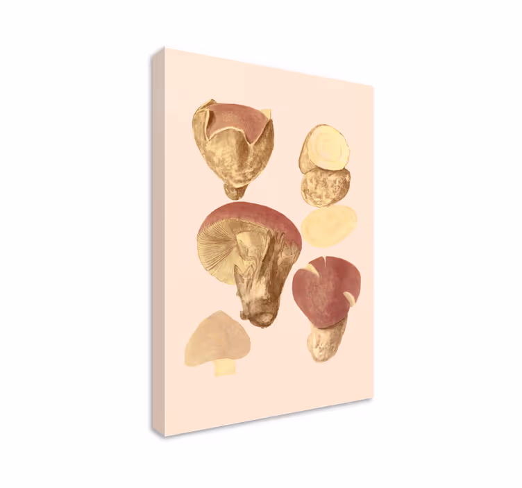 Mushroom Collection Flowers  canvas - TenStickers