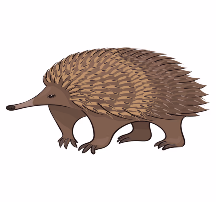 Animal vinyl rug friendly hedgehog design - TenStickers