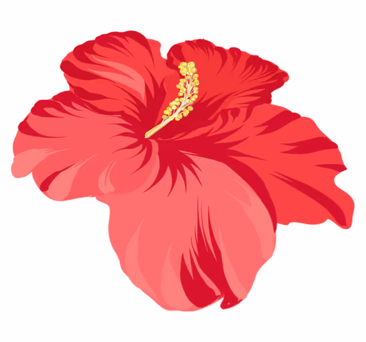 Flower vinyl rug red hibiscus flower kit - TenStickers